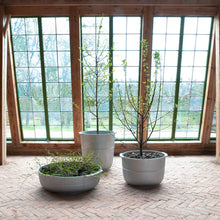 Ladda upp bild till gallerivisning, Linea nr 3 kruka