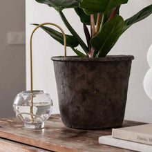 Ladda upp bild till gallerivisning, Plantstraws Växtvattnare