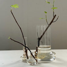 Ladda upp bild till gallerivisning, Kolonn Blank vas