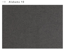 Ladda upp bild till gallerivisning, Alabama - Cat. Basic