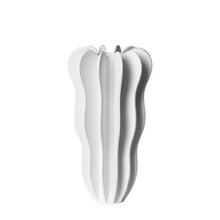 Ladda upp bild till gallerivisning, Cirrus 1996