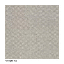 Ladda upp bild till gallerivisning, Ditzel Lounge Chair