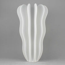 Ladda upp bild till gallerivisning, Vas Cirrus