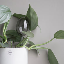 Ladda upp bild till gallerivisning, Waterbubble