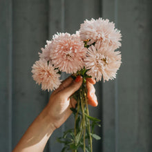 Ladda upp bild till gallerivisning, New Botanic - Romantic Bouquet Collection
