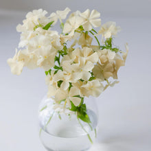 Ladda upp bild till gallerivisning, New Botanic - Romantic Bouquet Collection
