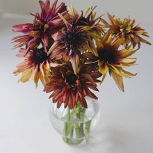 Ladda upp bild till gallerivisning, New Botanic - Romantic Bouquet Collection
