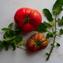 Ladda upp bild till gallerivisning, New Botanic - Tomato Tasting Collection
