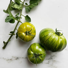 Ladda upp bild till gallerivisning, New Botanic - Tomato Tasting Collection
