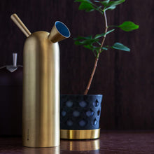 Ladda upp bild till gallerivisning, Svante vattenkanna
