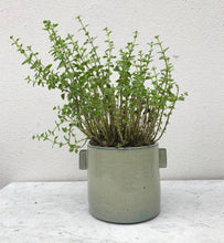 Ladda upp bild till gallerivisning, Urban jungle pot Large in grey 
