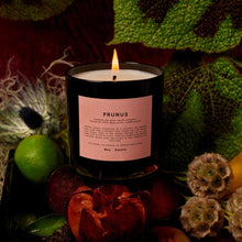 Ladda upp bild till gallerivisning, Prunus candle från Boy Smells
