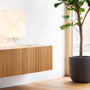Black Walnut Oak