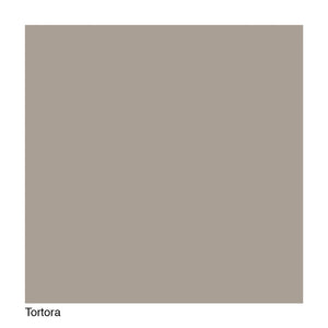 Frame – Tortora
