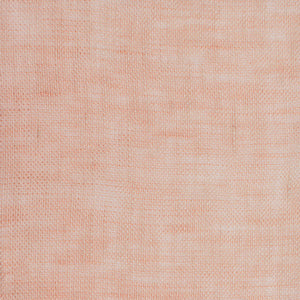 Apricot 6333